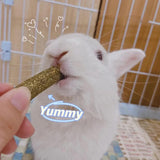  Natural Apple Wood and Timothy Grass Chew Toys for Rabbit