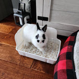 Rabbit Litter Box with Dustpan, Broom, and Chew Toys 