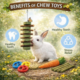  Natural Apple Wood and Timothy Grass Chew Toys for Rabbit