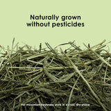 Timothy Hay for Small Animals - for Rabbits