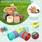 Rabbit Starter Kit Bunnies (Style 1, Blue)