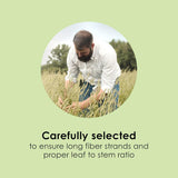 Timothy Hay for Small Animals - for Rabbits
