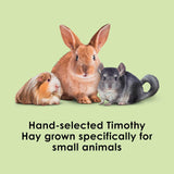 Timothy Hay for Small Animals - for Rabbits