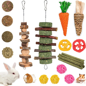  Natural Apple Wood and Timothy Grass Chew Toys for Rabbit