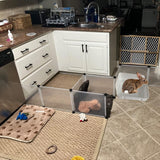 Rabbit Litter Box with Dustpan, Broom, and Chew Toys 