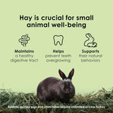 Timothy Hay for Small Animals - for Rabbits